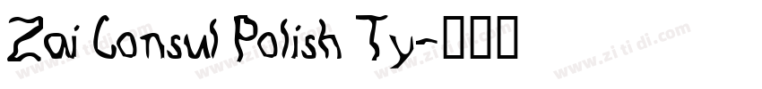 Zai Consul Polish Ty字体转换